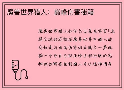 魔兽世界猎人:巅峰伤害秘籍