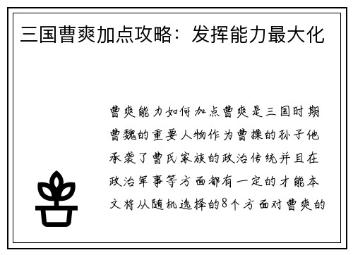 三国曹爽加点攻略:发挥能力最大化