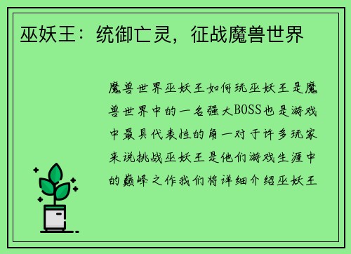 巫妖王：统御亡灵，征战魔兽世界